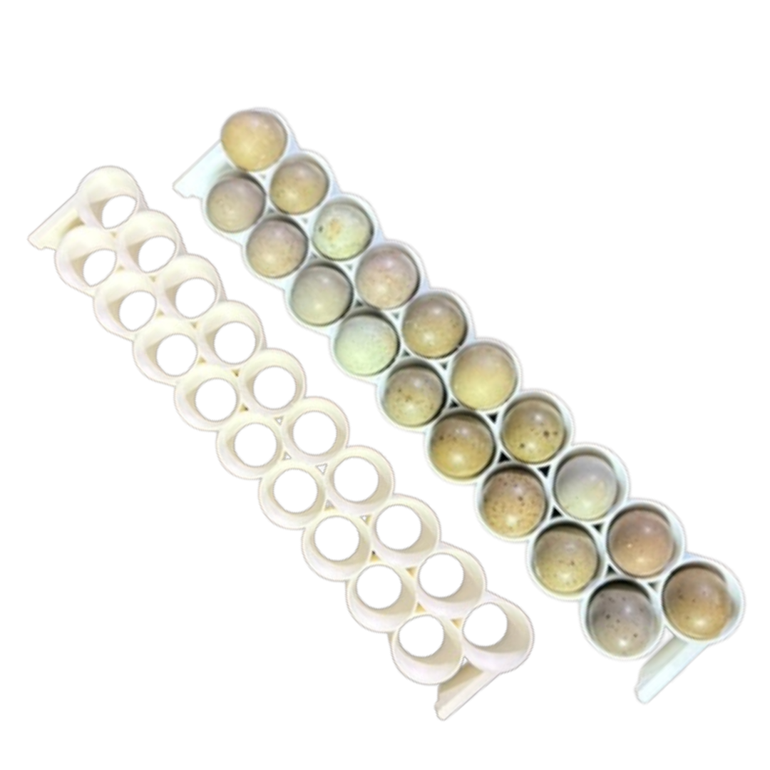 Hating Time Standard & Button Quail Egg Rails for Cimuka®/Hatching Time® Incubator ...