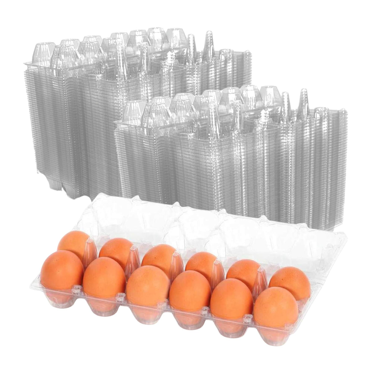 12-Egg Cartons - Clear Plastic