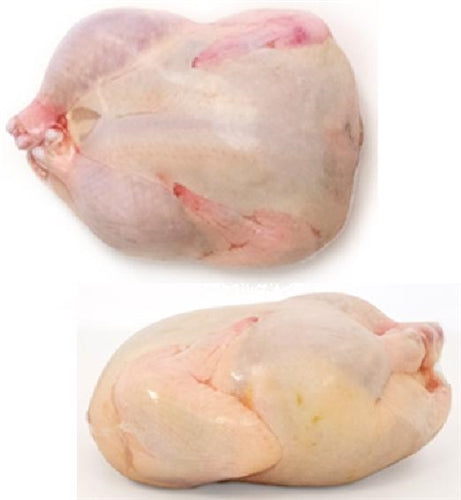10"x16" Poultry Shrink Bags Chicken Freezer