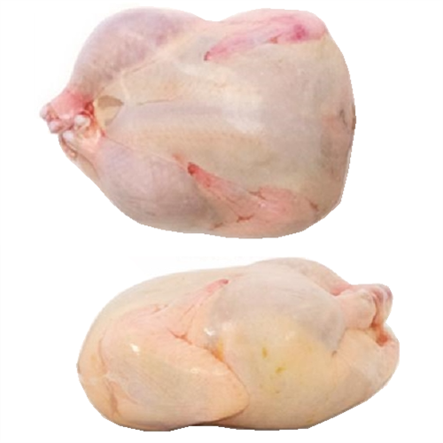 5"x9" Quail Grouse Shrink Bags Poultry Freezer