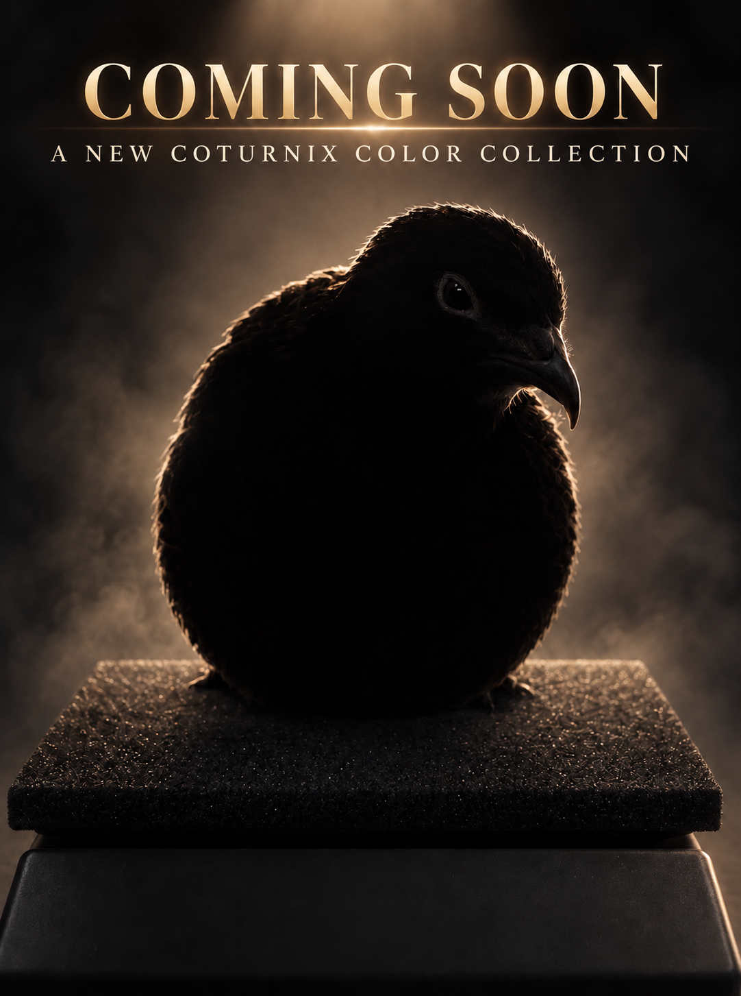 Surprise Release