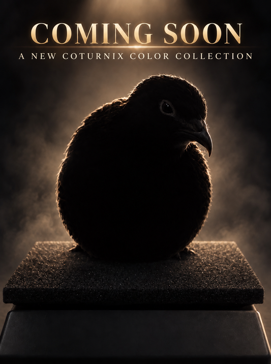 Surprise Release