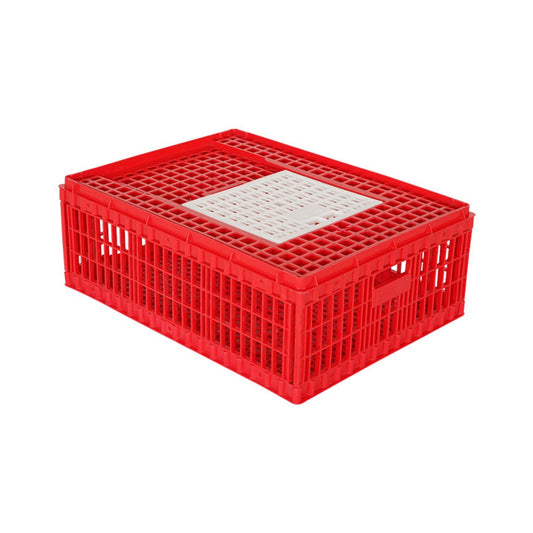 Chicken Transport Coop (Medium) with Top Door