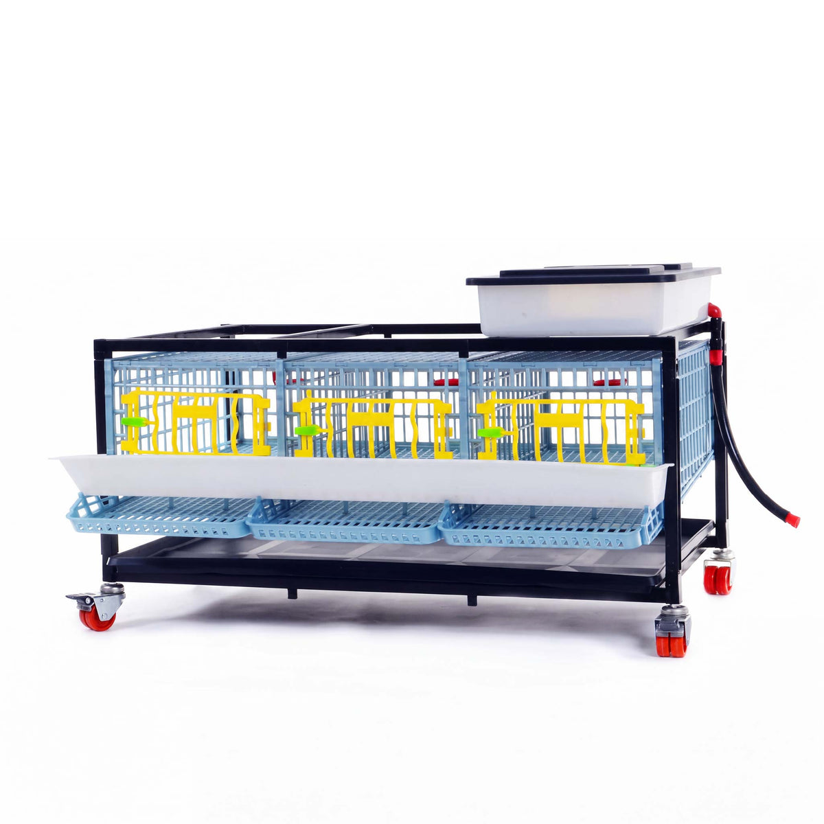 Quail Cage - 1 Layer