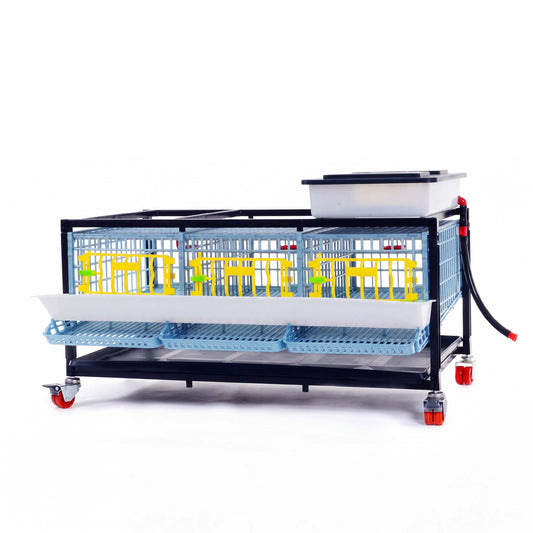Quail Cage - 1 Layer