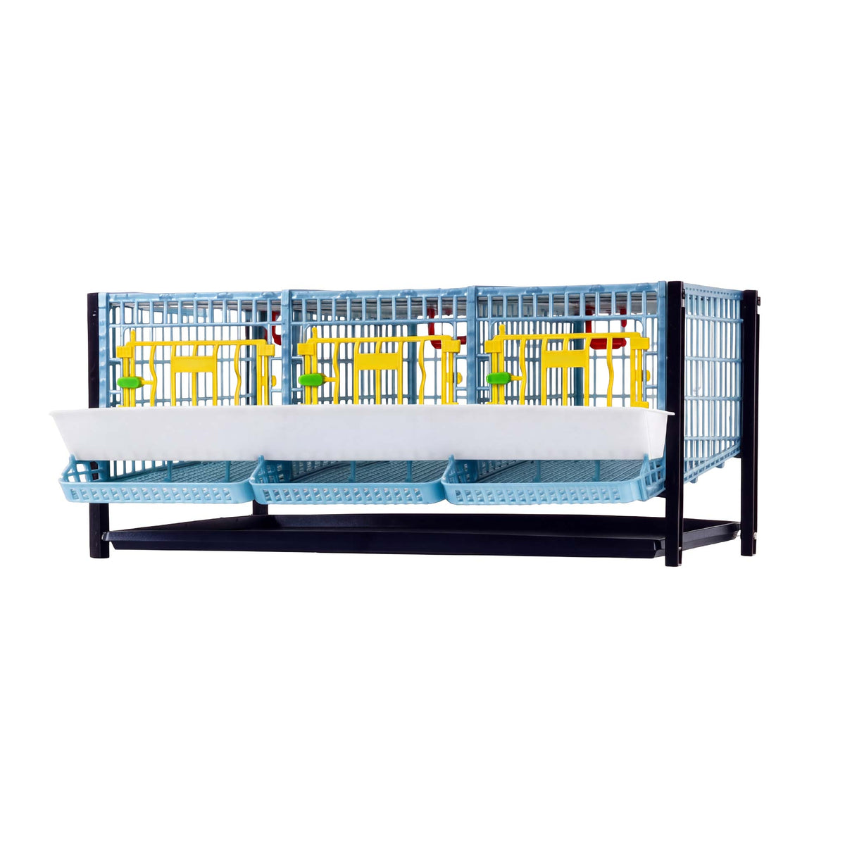 Quail Cage - Layer Addition