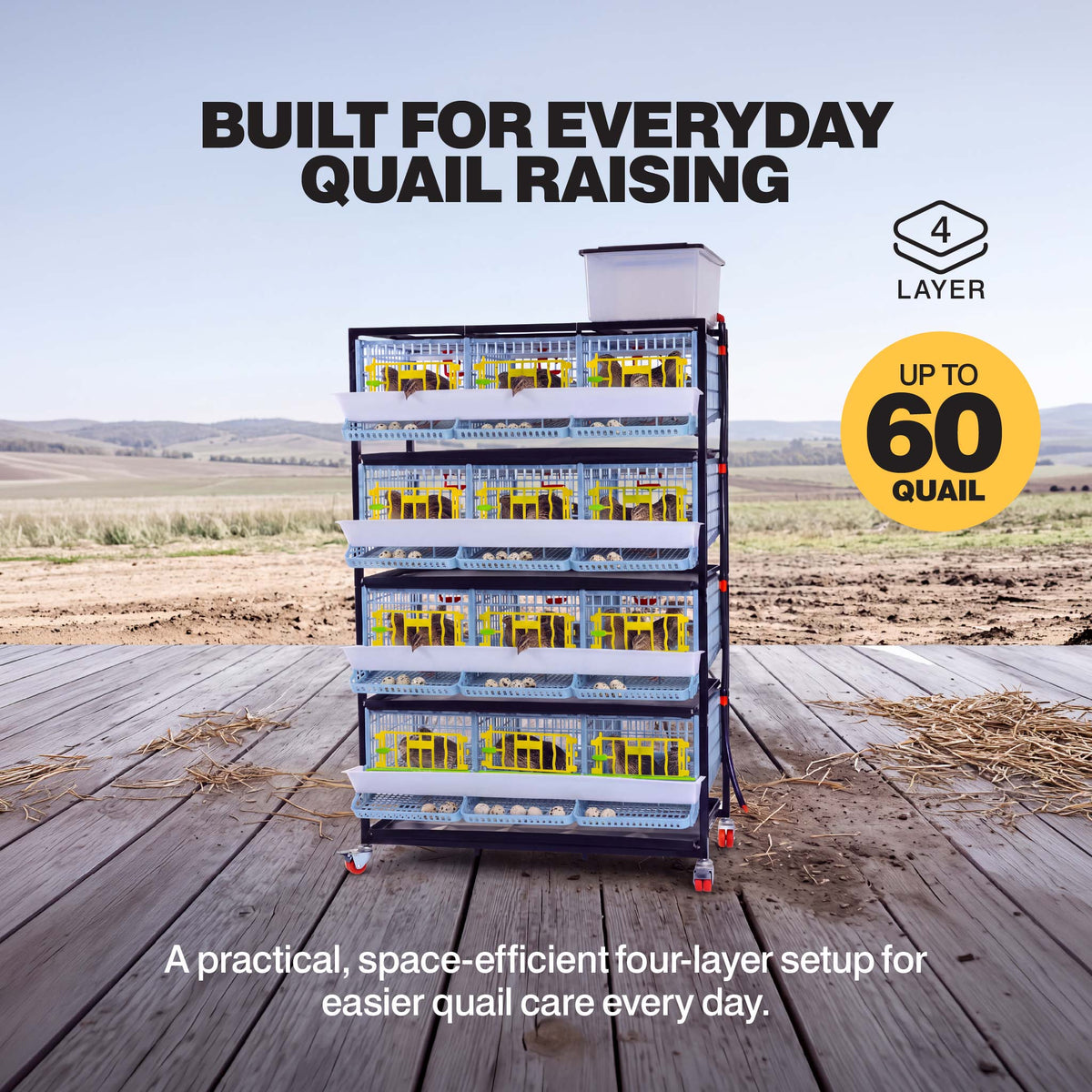 Quail Cage - 4 Layer