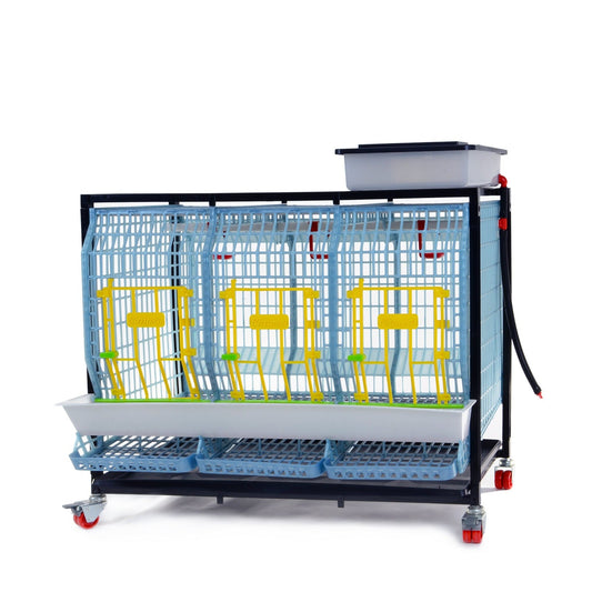 Chicken Cage - 1 Layer H: 22"