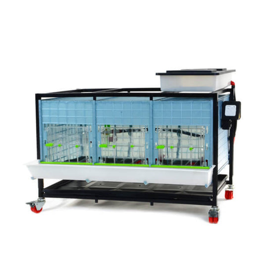 Chick Brooder - 1 Layer H: 15"