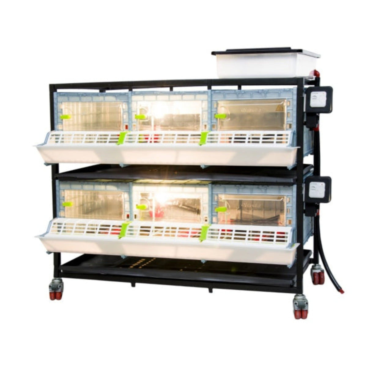 Chick Brooder - 2 Layer H: 9.5"