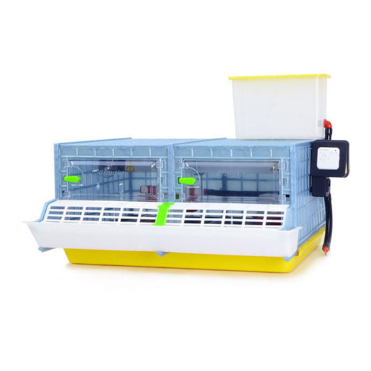 Chick Brooder - 2 Section H:9.5" (Starter Kit for Game Birds and Small Chicken Breeds)