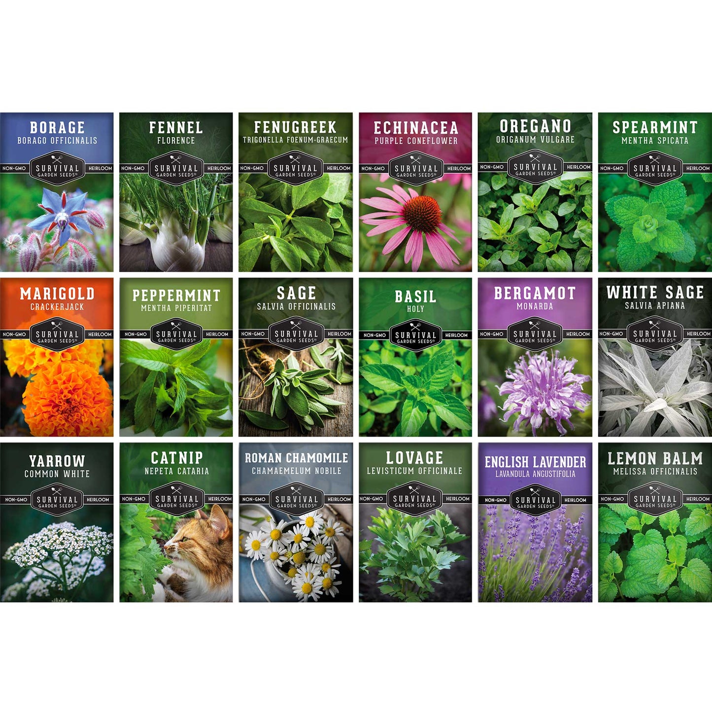 Medicinal Herb Seeds Collection – 18 Heirloom Non-GMO Herbs for Wellness, Tea & Home Apothecary Gardens (Lavender, Chamomile, Echinacea, Peppermint, Sage & More)