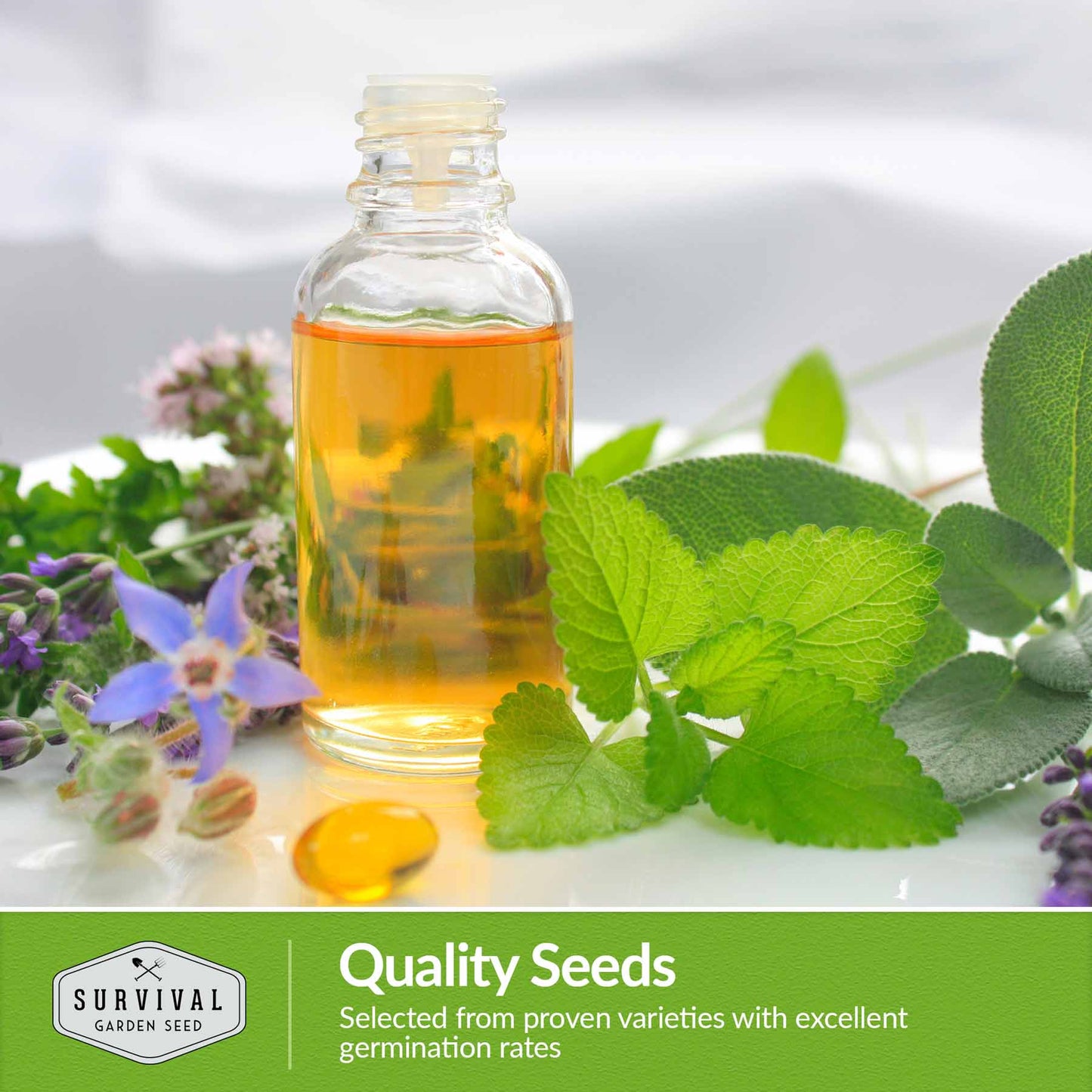 Medicinal Herb Seeds Collection – 18 Heirloom Non-GMO Herbs for Wellness, Tea & Home Apothecary Gardens (Lavender, Chamomile, Echinacea, Peppermint, Sage & More)