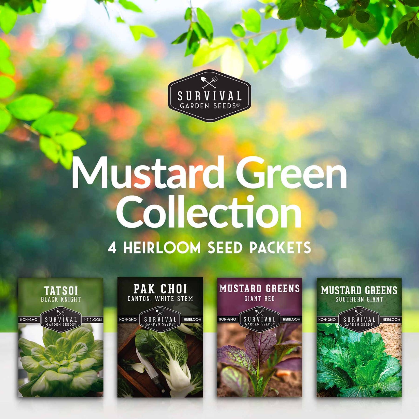 Mustard & Asian Greens Seed Collection – 4 Heirloom Non-GMO Varieties: Tatsoi, Southern Giant, Giant Red & Pak Choi for Year-Round Garden Harvests