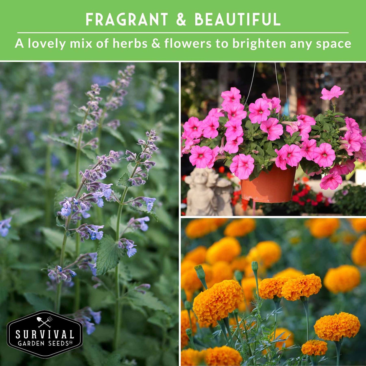 Pest Defense Seed Collection – 6 Heirloom Herbs & Flowers for Natural Garden Protection