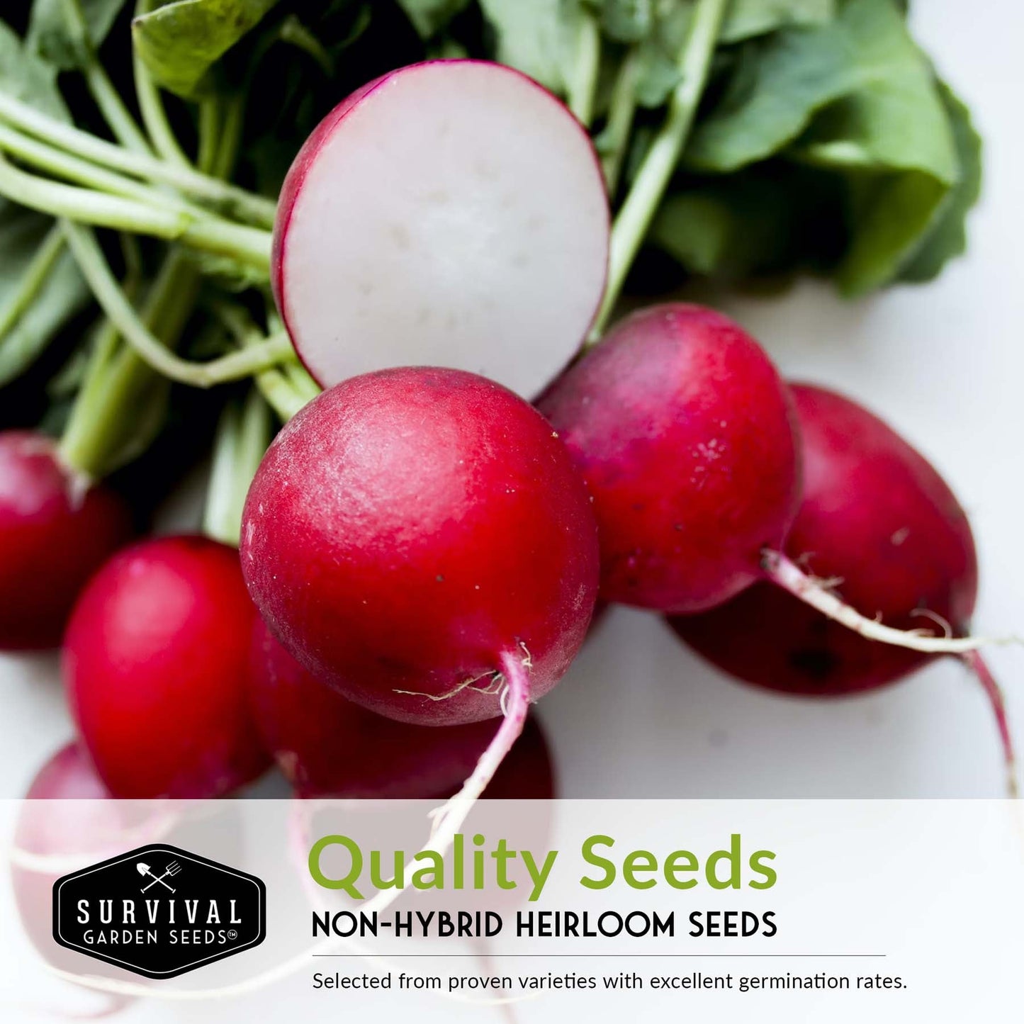 5 Variety Radish Seeds Pack – Heirloom Collection for Spring, Summer & Fall Gardens