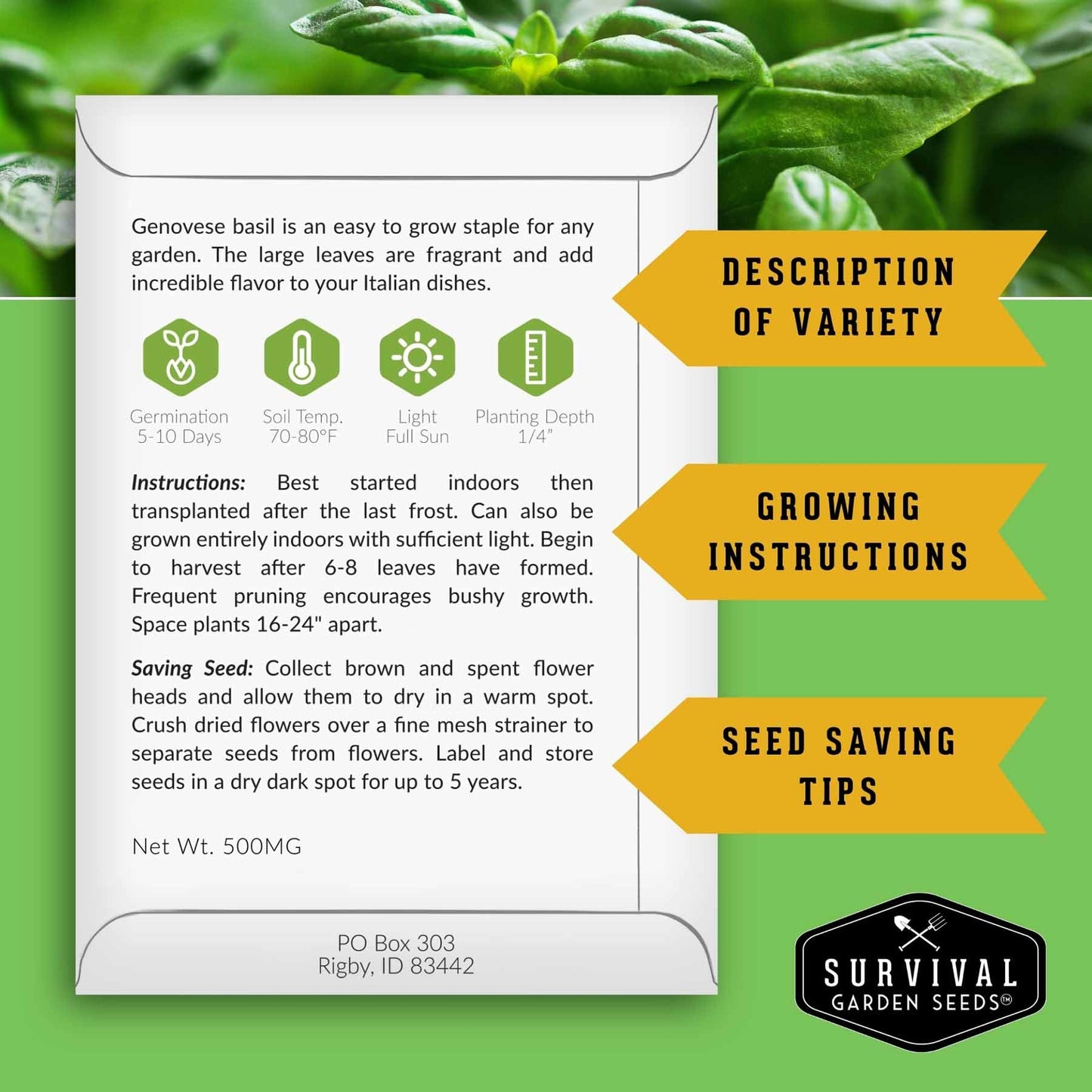 Culinary Herb Seed Collection – 5 Essential Kitchen Herbs for Indoor or Outdoor Growing