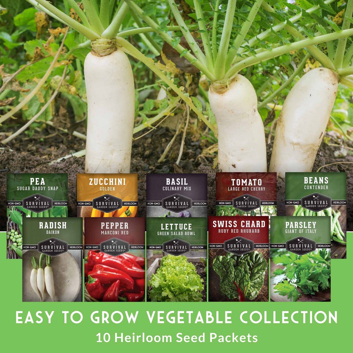 Easy-to-Grow Seed Collection – Beginner-Friendly Vegetables & Herbs for Quick, Reliable Harvests