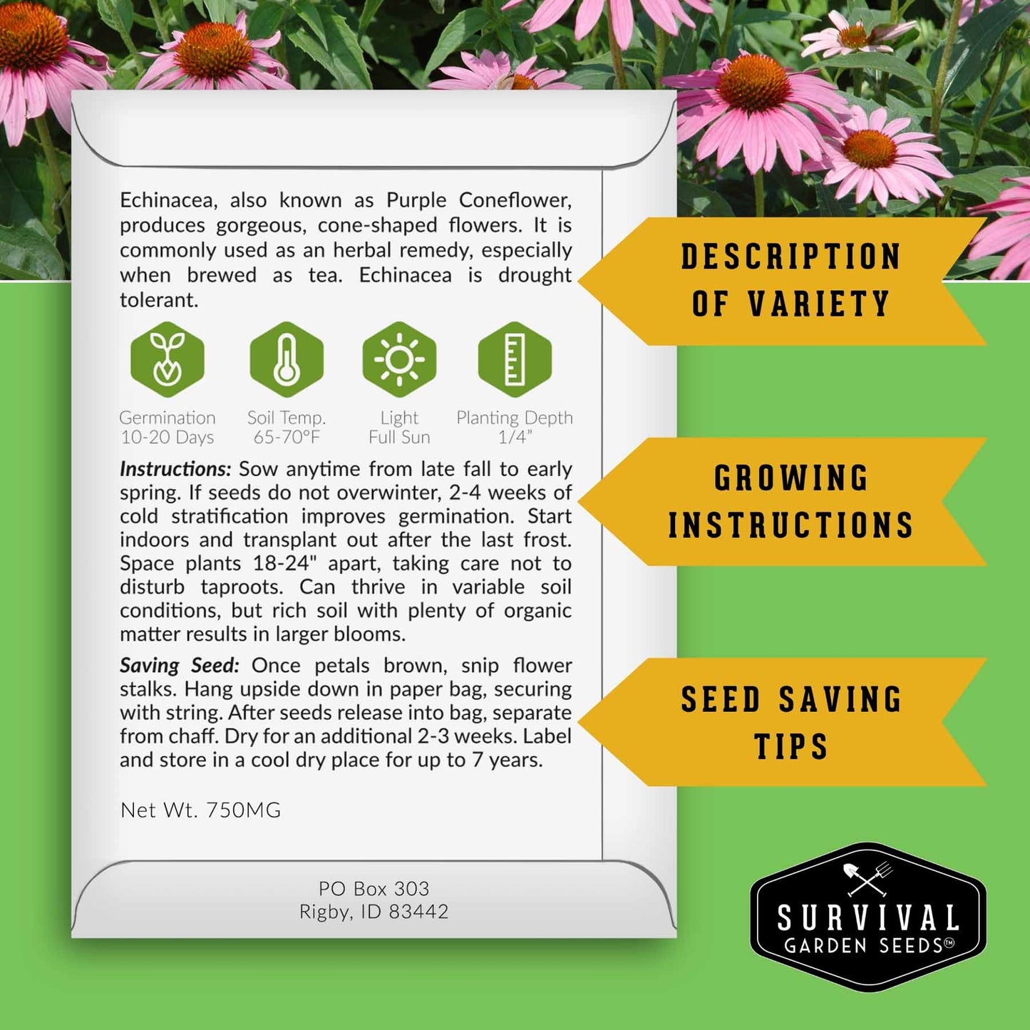 Herbal Tea Garden Seeds Kit – 5 Heirloom Medicinal Herbs for Soothing Teas, Remedies & Pollinator-Friendly Gardens