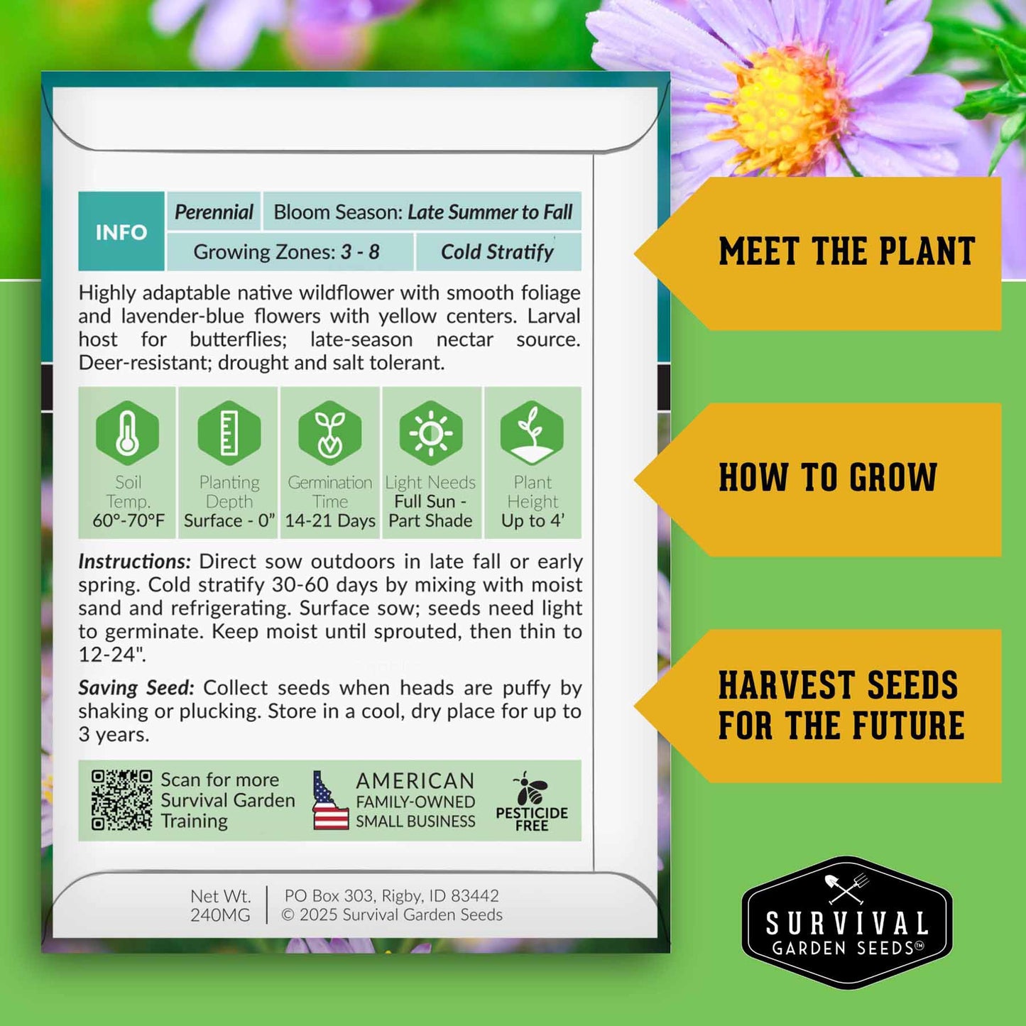 Native Habitat Seed Collection – 24 Native Wildflowers & Grasses for Pollinators, Meadows & Low-Maintenance Landscapes