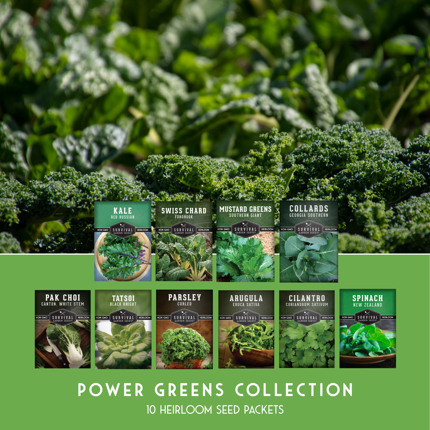 Power Greens Seed Collection – 10 Heirloom Non-GMO Leafy Green & Herb Varieties for Year-Round Nutrition