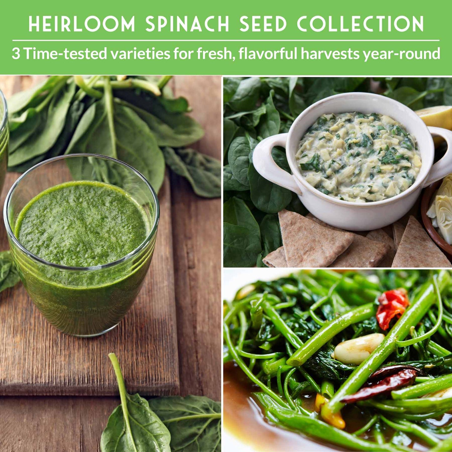 Spinach Seed Collection – 3 Heirloom Non-GMO Varieties: Viroflay, Giant Noble & Bloomsdale for Spring and Fall Gardens