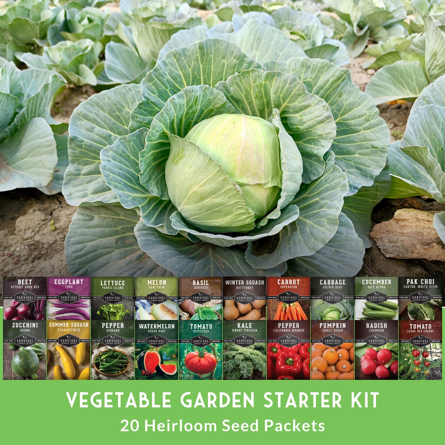 20 Variety Vegetable Garden Starter Seed Collection – Non-GMO Heirloom Kit for Beginner-Friendly Home Growing