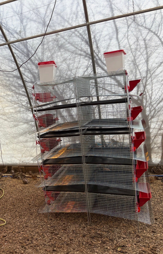 Stacking Cages for Quail