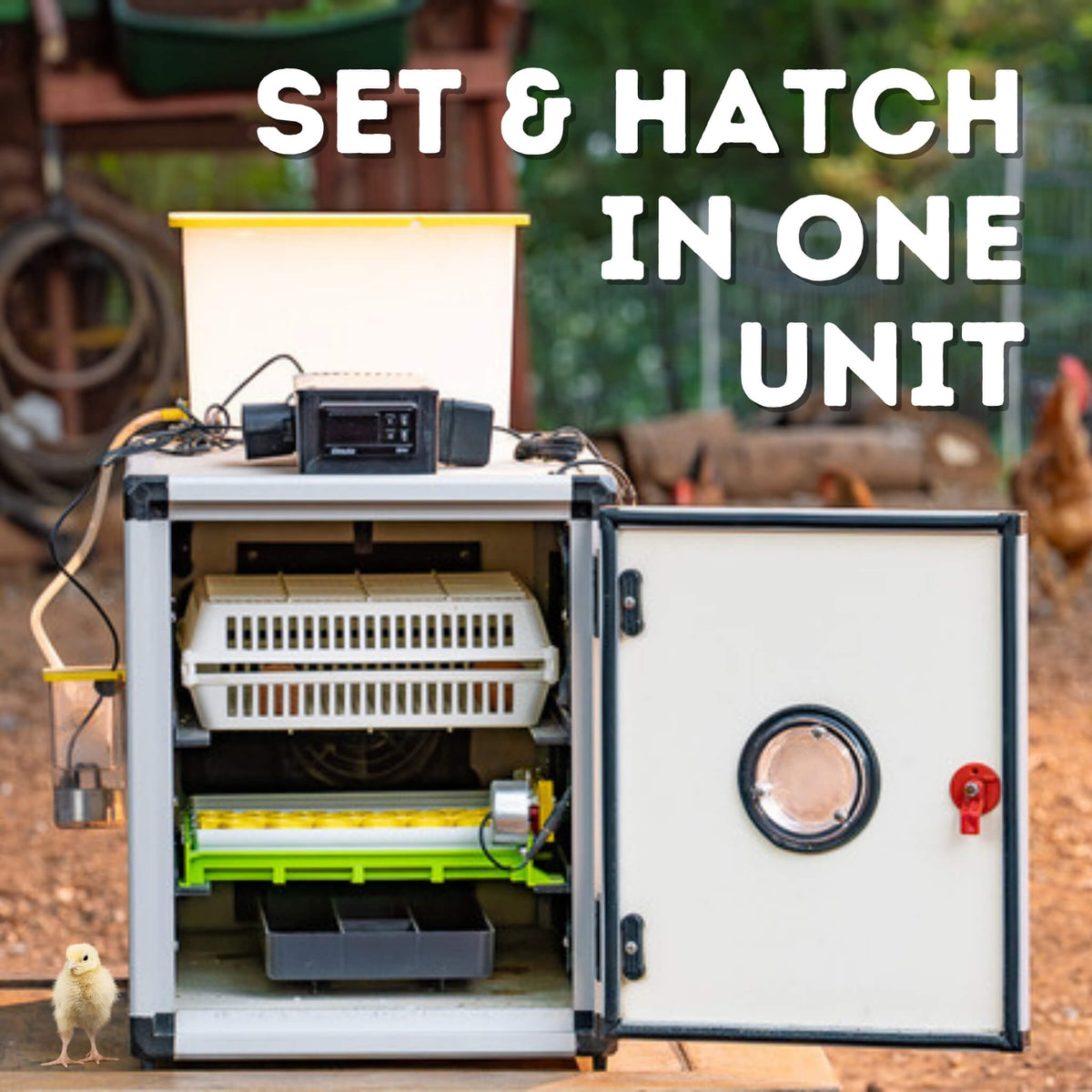CT60 SH - Egg Incubator - Setter & Hatcher