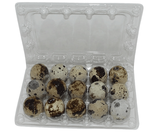 15-cell Jumbo Quail Egg Cartons (3x5)