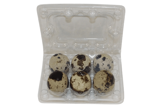 6-cell Jumbo Quail Egg Cartons (2x3)